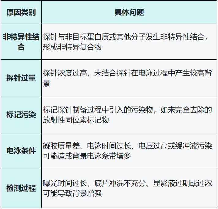 emsa电泳迁移